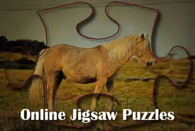 Online jigsaw puzzles