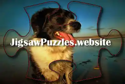 Online jigsaw puzzle Game 5 - Collie Dog Jigsaw