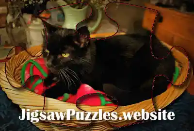 Online jigsaw puzzle - Game 9 - Cat