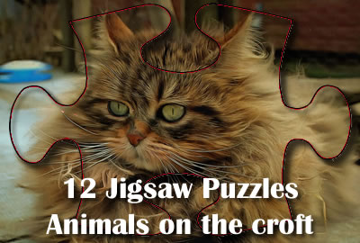 Puzzles en ligne - Free Jigsaws