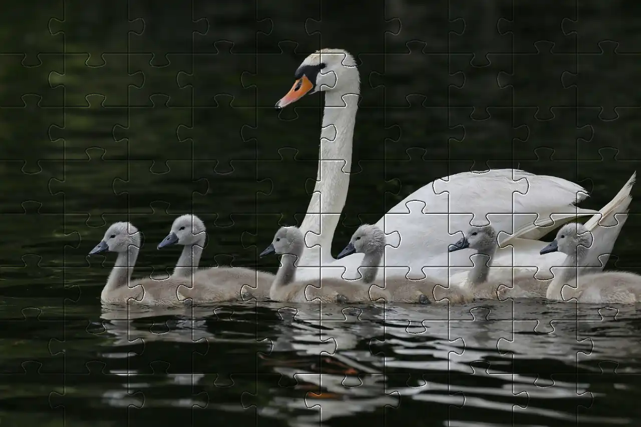 Picture of jigsaw of swan with cygnets on a lake