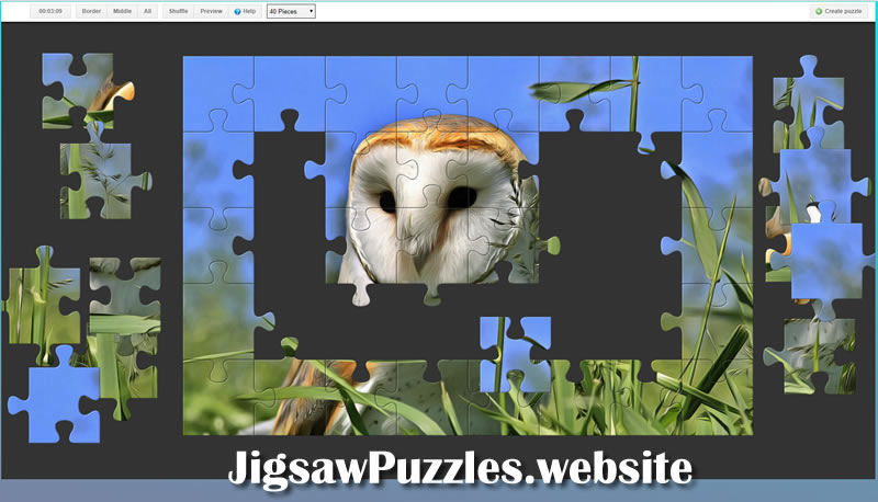Jigsaw Puzzle | Free Online Game 11 - an owl