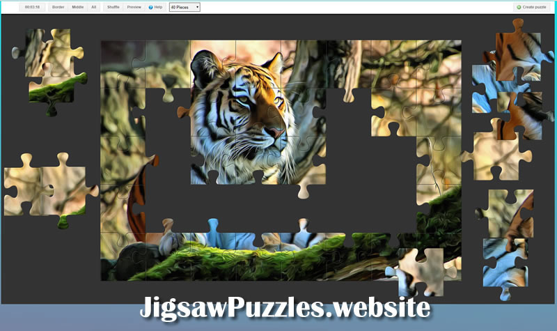 Jigsaw Puzzle | Free Online Game 8 - A beautiful Cat