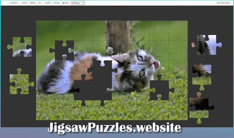 Jigsaw Puzzle | Free Online Game 9 - A beautiful cat