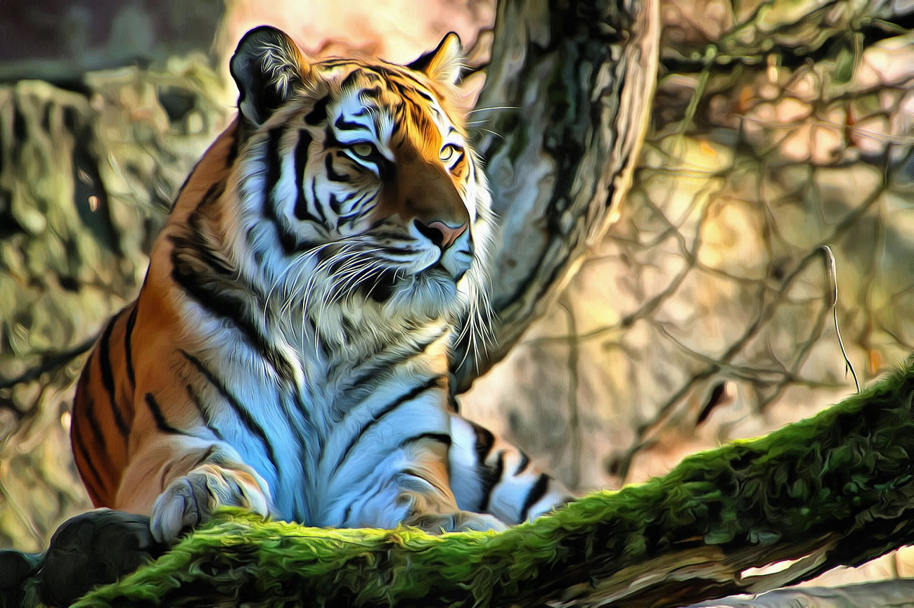 Artistic image of a Glorious Tiger