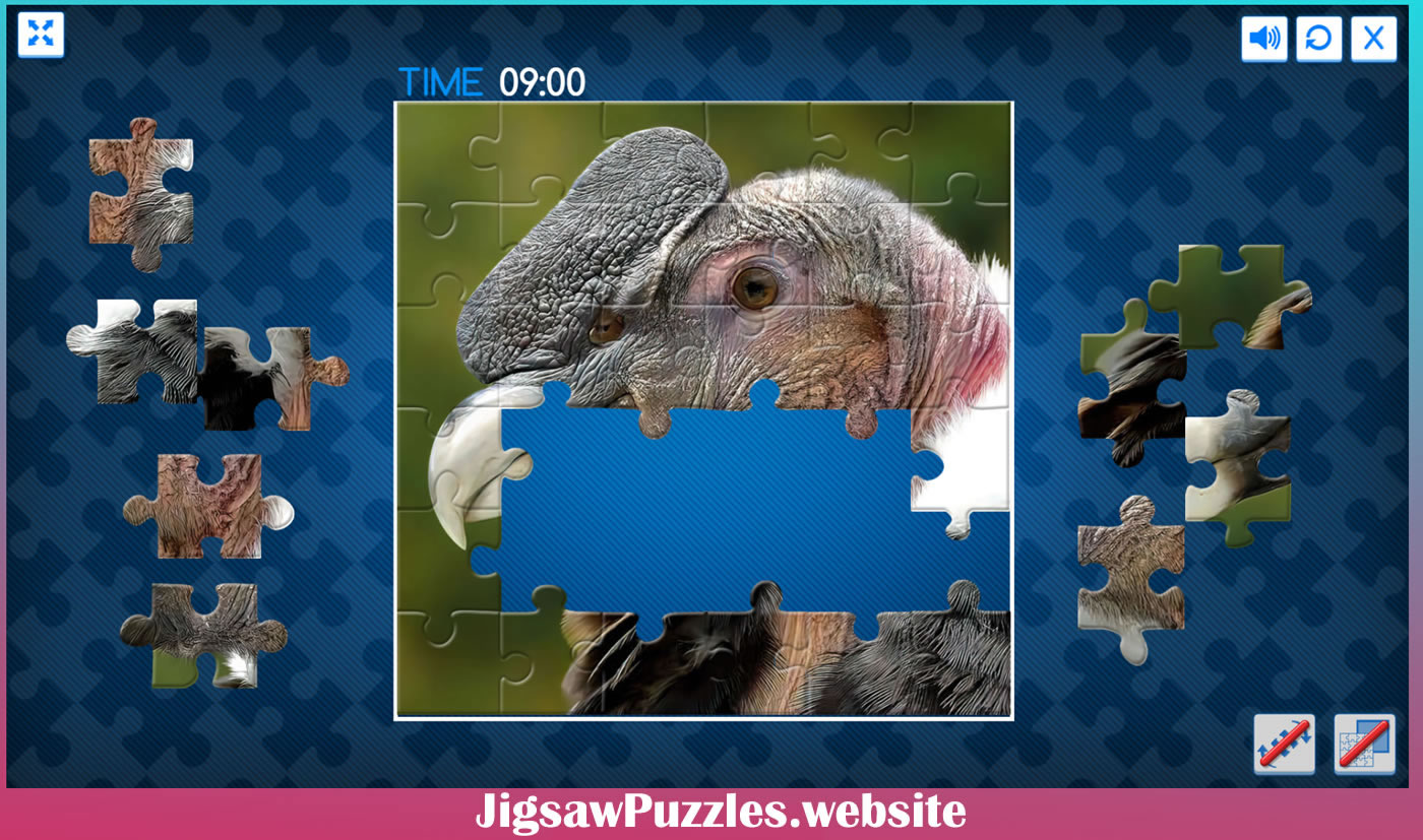 Animal jigsaw puzzle games
