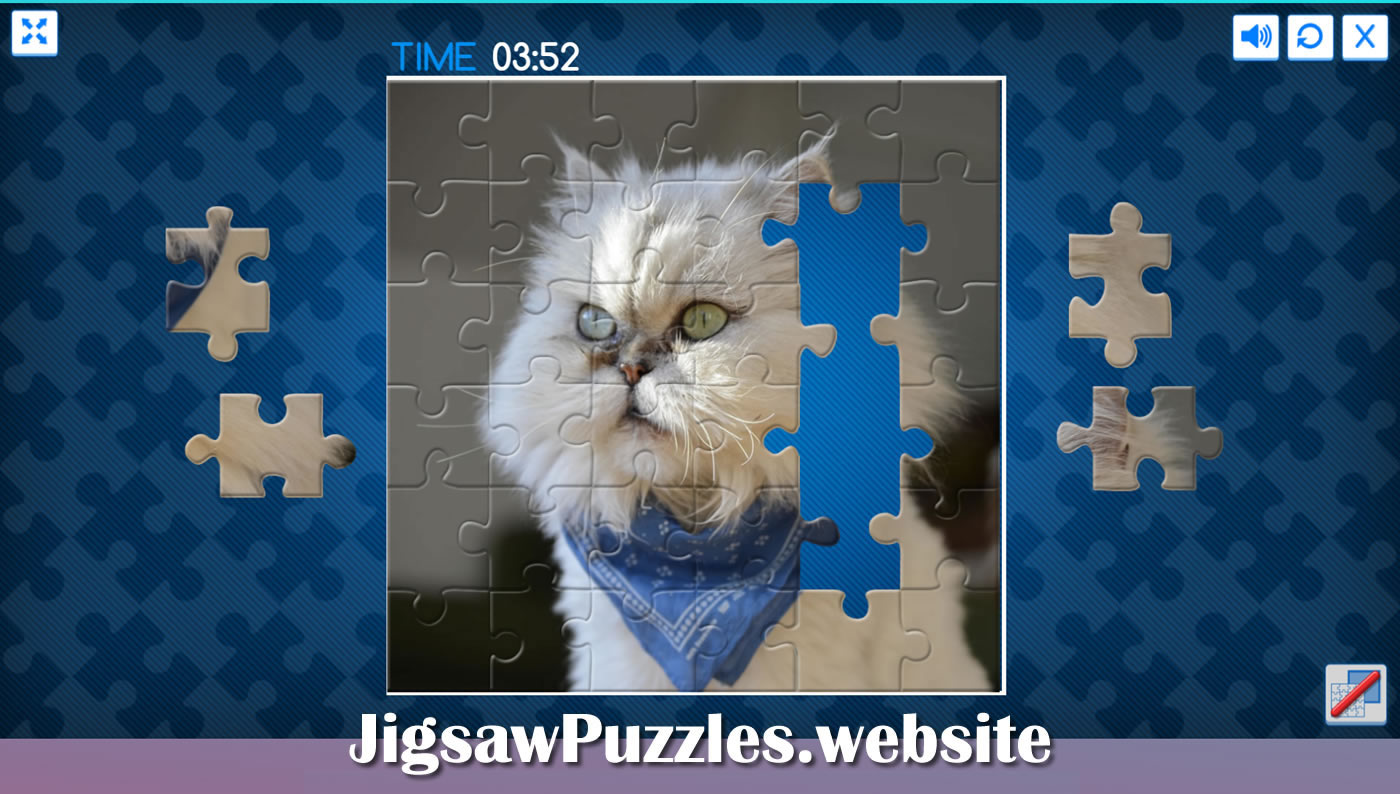 Cats jigsaw puzzles