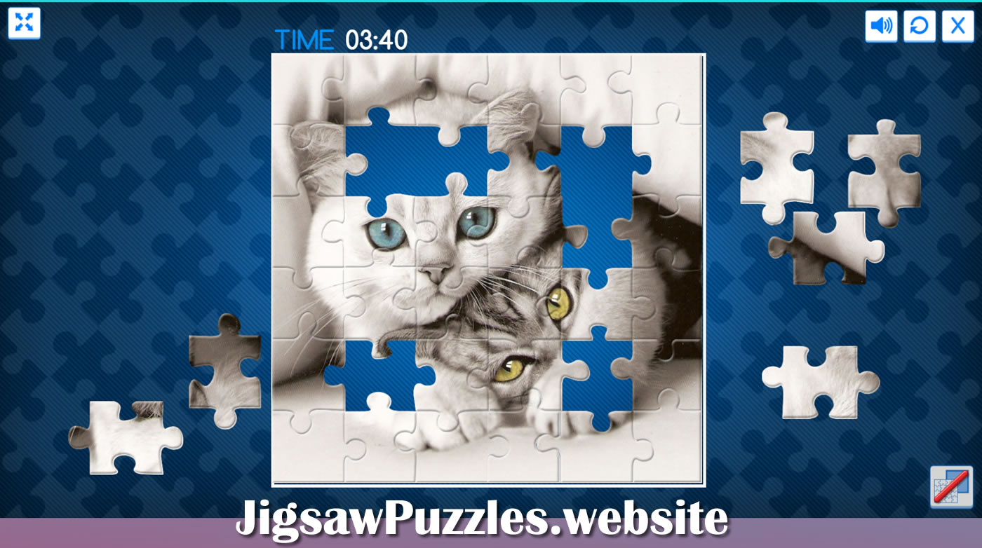 Cats and kittens jigsaw puzzles