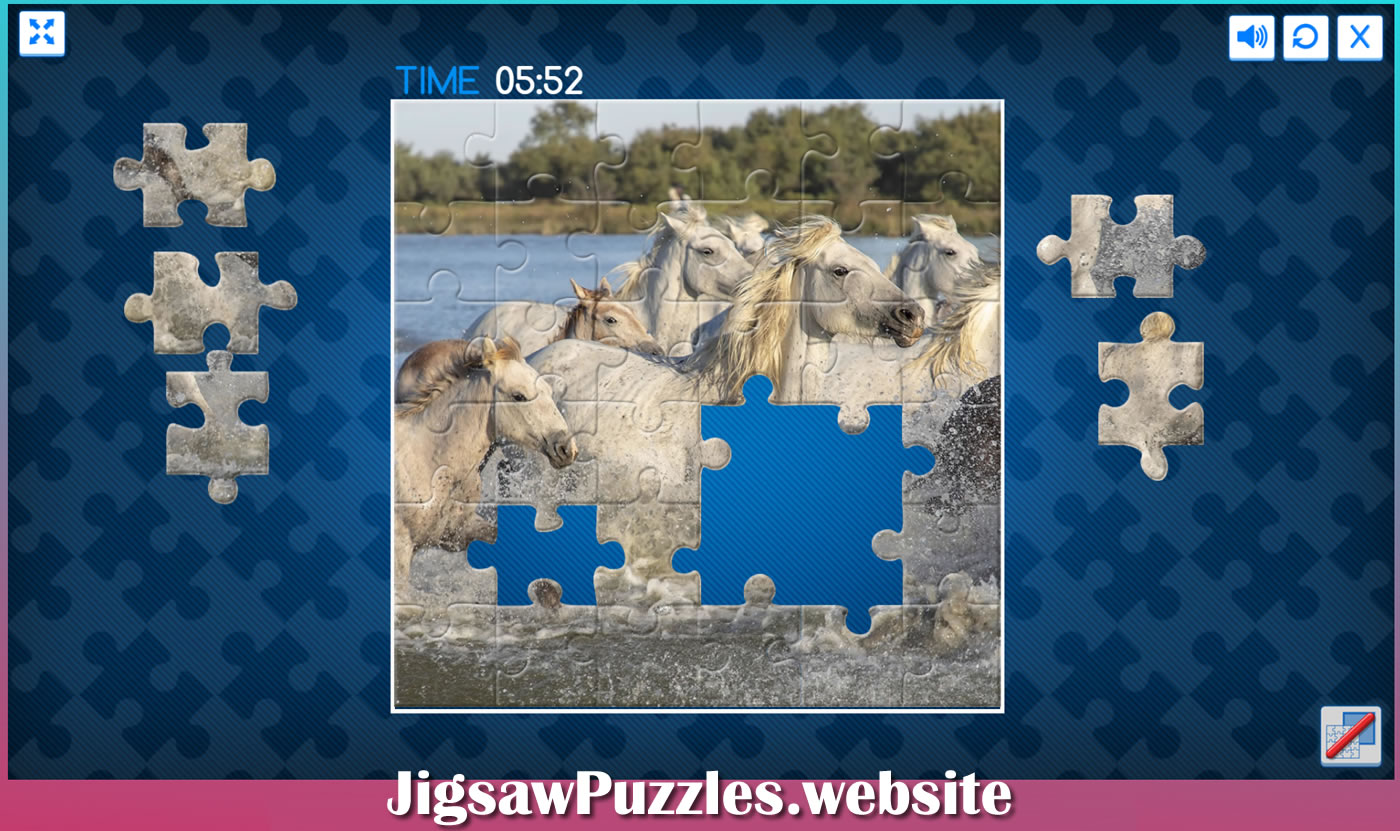 jigsaw puzzles of Nature, Horses and Water Scenes