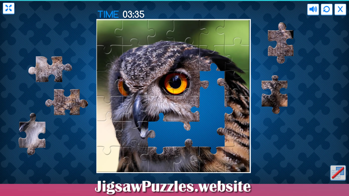 Owls jigsaw puzzle games