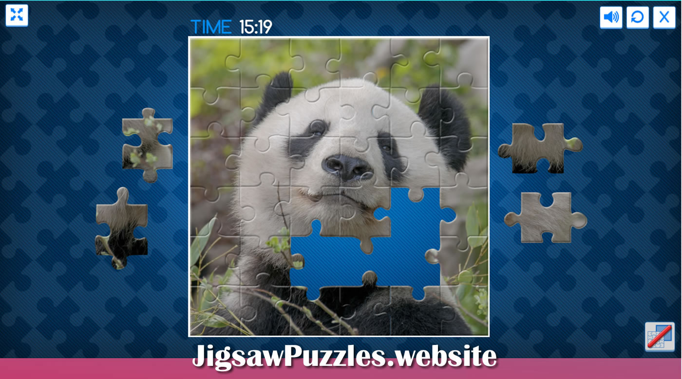 Panda and fun Animal jigsaw puzzle games