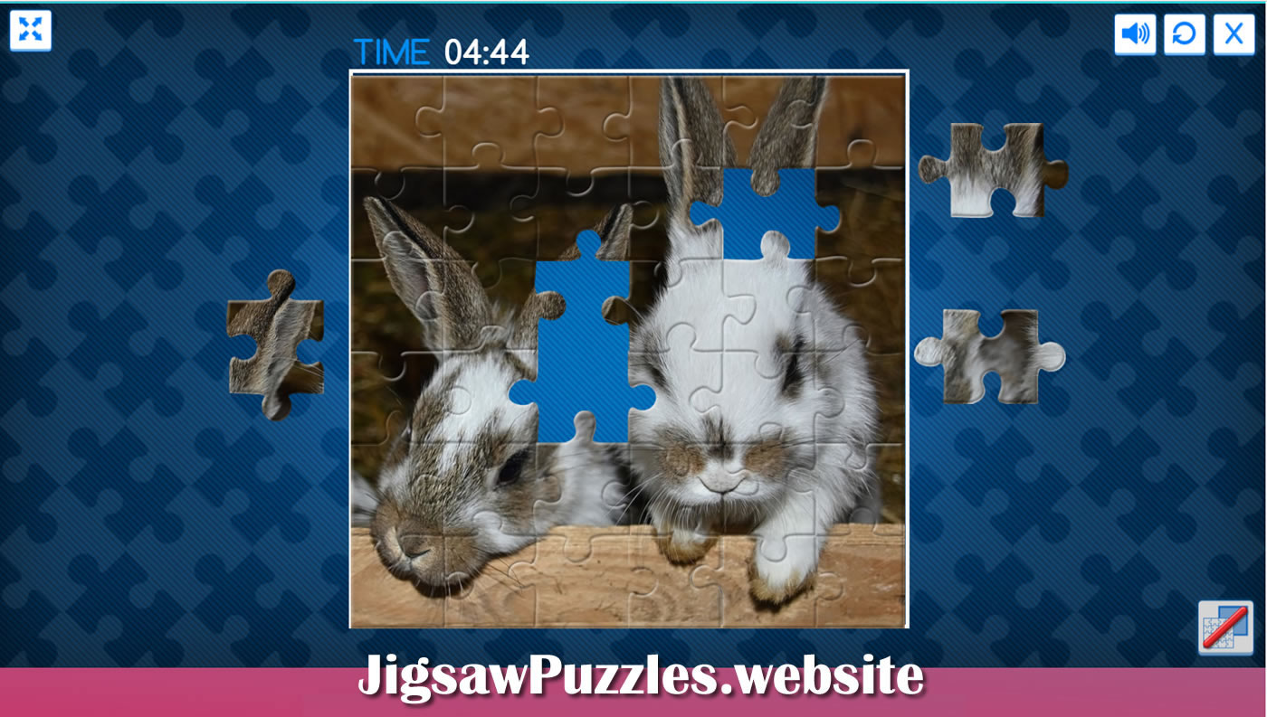 Rabbits jigsaw puzzles