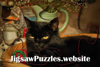 Online jigsaw puzzle - Game 10 - Cat Jigsaw