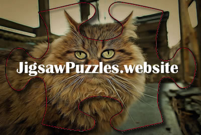 Online jigsaw puzzle - game 3 | Cat Jigsaw