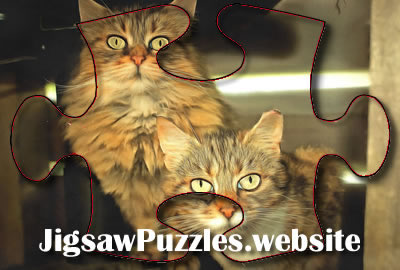 Barn Cats - Meg and Bobbie Jigsaw