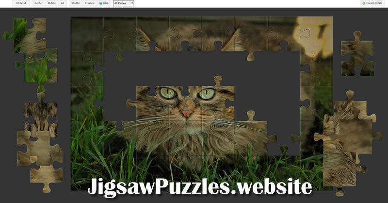 Jigsaw Puzzle 11