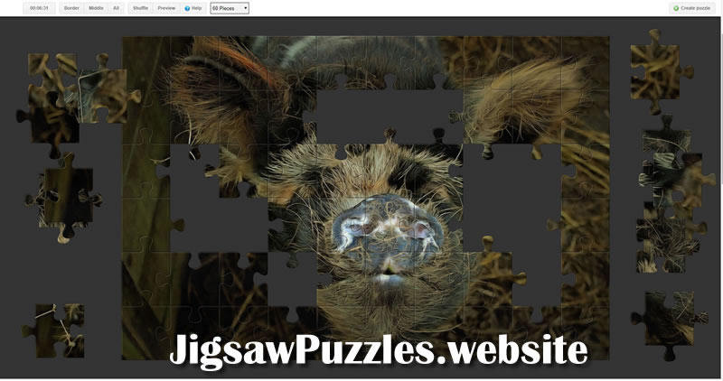 Jigsaw Puzzle 12