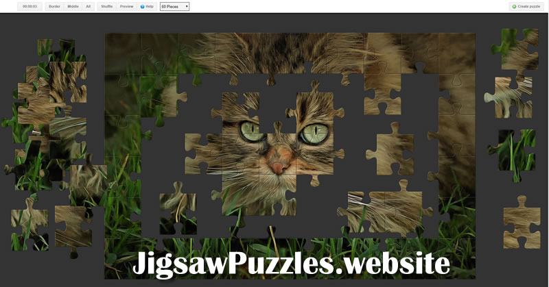 Jigsaw Puzzle 13