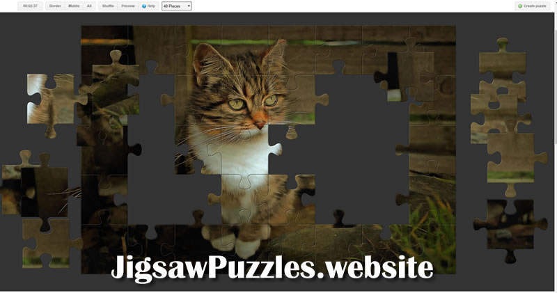 Jigsaw Puzzle 14
