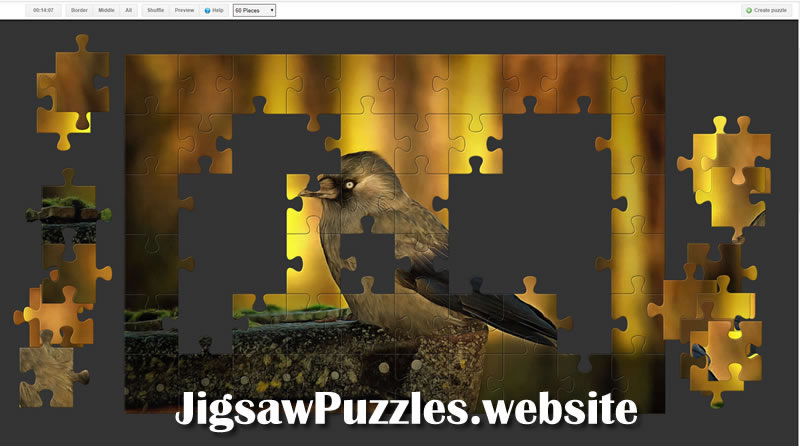 Jigsaw Puzzle 7