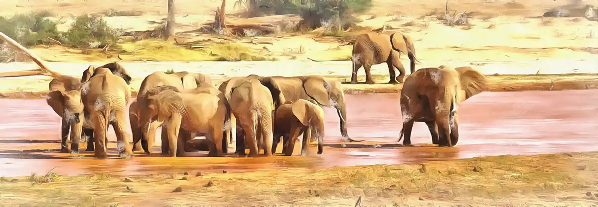 Elephants - art picture 2