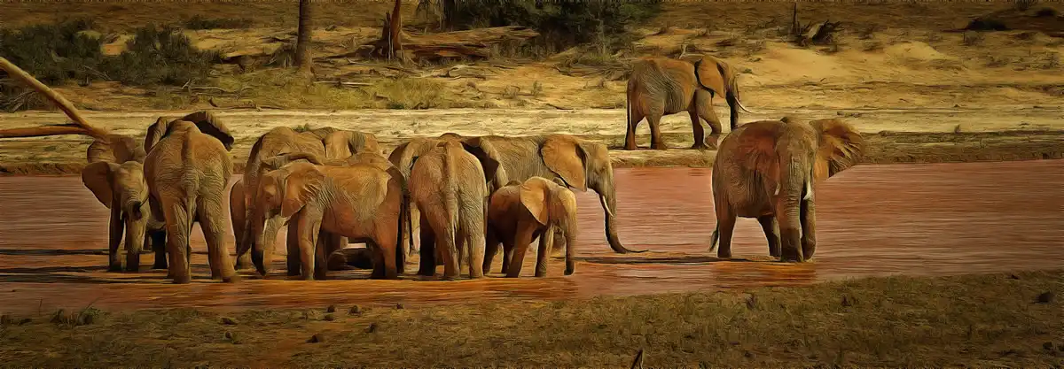Elephants art picture 1