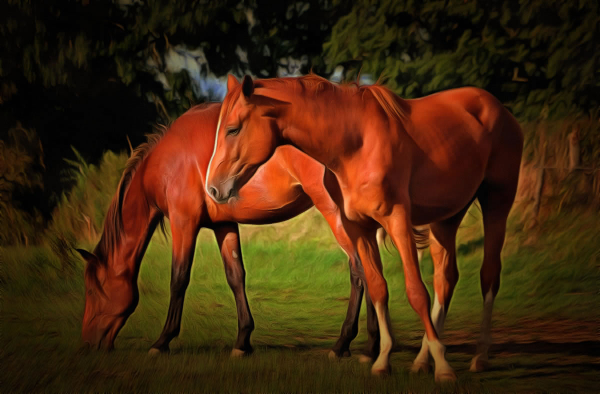 Horses - art image 2
