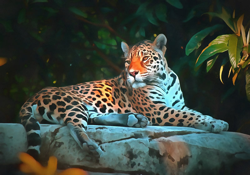 Jaguar - Large cat art image - picture 1
