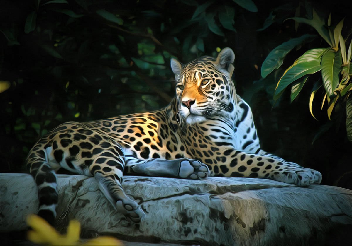 Jaguar - art image 3