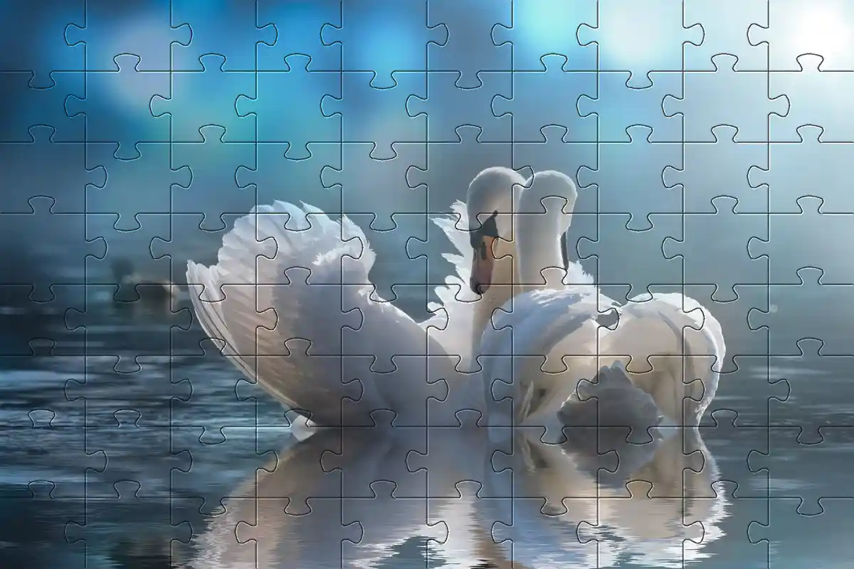 Swan jigsaw picture